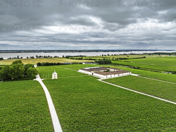 Chateau Latour Vineyard and grape fields around Pauillac from a drone, Bordeaux, Gironde, Nouvelle-Aquitaine, France, Europe
