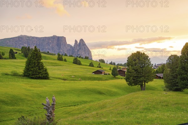 Green valley with trees and huts, mountains in the background at dusk, Alpe di Siusi, South Tyrol, Dolomites, Italy, Europe