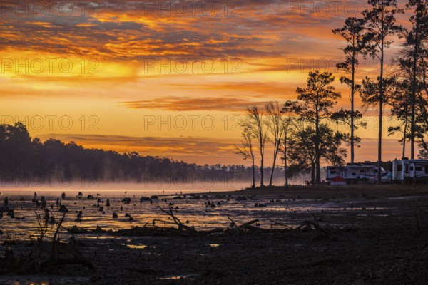 Stumps protrude from low water in Geiger Lake at sunrise in Paul B. Johnson State Park near Hattiesburg, Mississippi, USA, North America