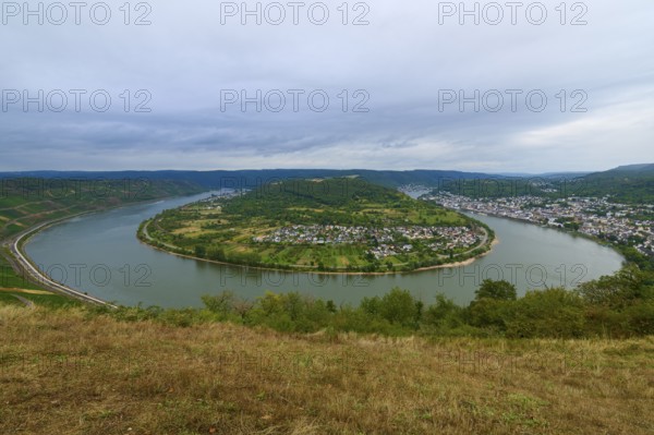 Clear picture of a river bend with neighbouring town and surrounding green hills, summer, Rhine bend Boppard, Gedeonseck, Boppard, Rhine, Rhine-Hunsrück district, Rhineland-Palatinate, Germany, Europe
