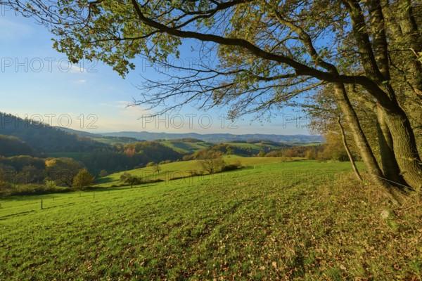 Green hills and meadows stretch out under a blue sky, framed by trees and distant mountains, Vöckelsbach, Mörlenbach, Bergstrasse district, Odenwald, Hesse, Germany, Europe