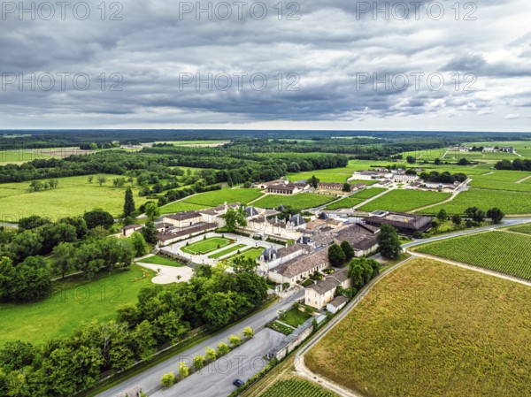 Vineyard of Chateau Beychevelle from a drone, Saint-Julien-Beychevelle, France, Europe