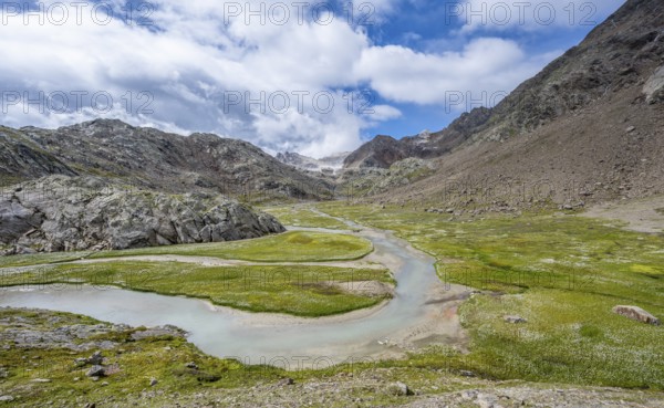 Mountain stream meanders through high mountain landscape on the Upper Senner Egete between meadows full of cotton grass, Seven Lakes Hike, Stubai Alps, near Ridnaun, South Tyrol, Italy, Europe