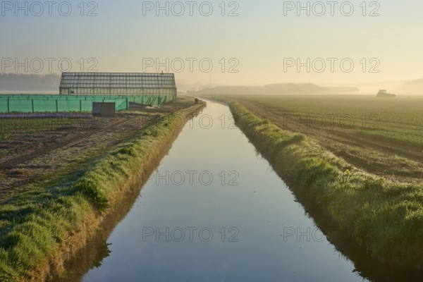 Greenhouse and water channel run parallel in a misty landscape at sunrise, Sassenheim, province of South Holland, Netherlands