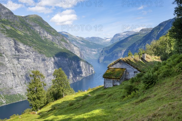 Blomberg Gård, historic mountain farm with grass roof on a steep mountainside above the Geirangerfjord, view of idyllic fjord landscape, near Geiranger, Møre og Romsdal, Norway, Europe