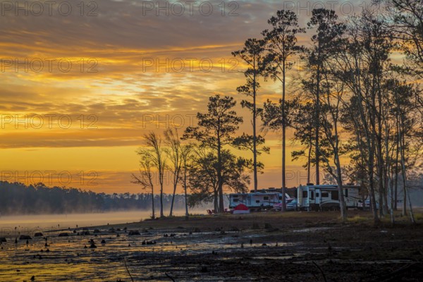 Stumps protrude from low water in Geiger Lake at sunrise in Paul B. Johnson State Park near Hattiesburg, Mississippi, USA, North America