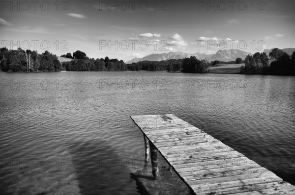 Bathing jetty, jetty, wooden jetty, jetty, leads into a lake, bathing lake, Schwaltenweiher near Seeg, black and white, Ostallgäu, Allgäu, Swabia, Bavaria, Germany, Europe