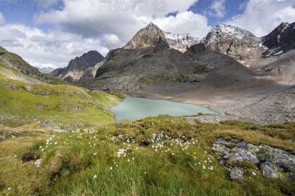 Mountain landscape with flowering cotton grass. View of the turquoise-blue mountain lake Großer Gradensee, with the peaks of Petzeck and Kruckelkopf behind, Schober Group, Hohe Tauern National Park, Carinthia, Austria, Europe