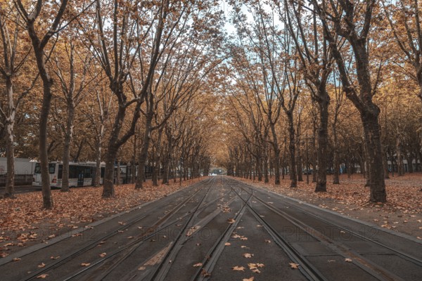 Beautiful autumn foliage covers the ground along tram tracks in bordeaux, france, creating a picturesque urban scene