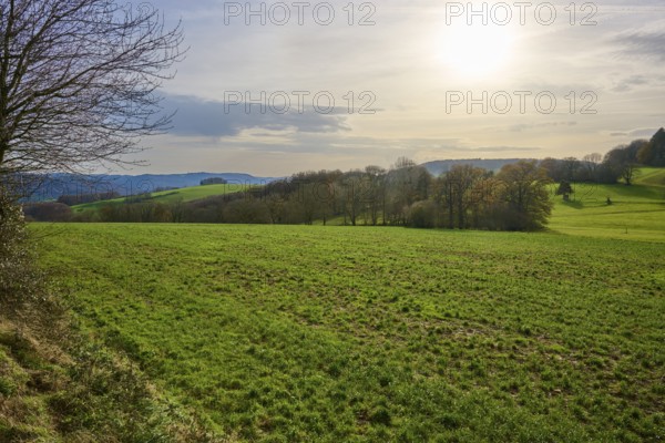 Landscape with green fields, hills and sunlight, Winterkasten, Lindenfels, Bergstrasse district, Odenwald, Hesse, Germany, Europe