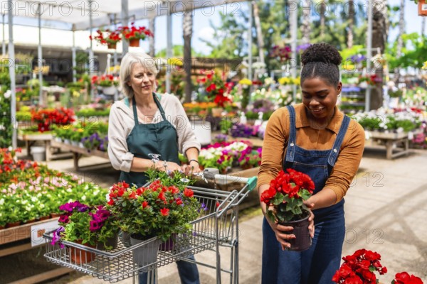 Two women working together at a vibrant garden center, pushing carts filled with colorful flowers and lush plants under the warm sunlight