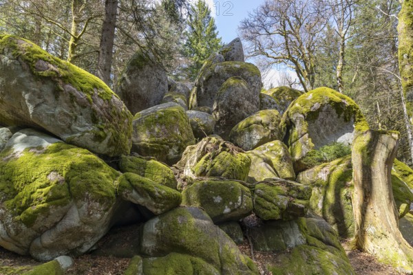 Granite rock Günterfelsen near the source of the Danube, Furtwangen in the Black Forest, Baden-Württemberg, Germany, Europe