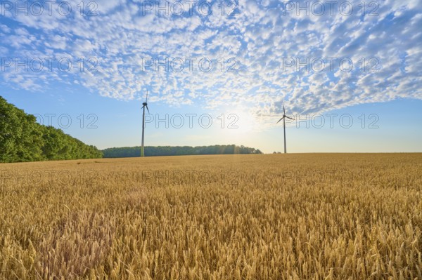 Two wind turbines in a wide field with blue sky and clouds, summer, Höhefeld, Wertheim, Baden-Württemberg, Germany, Europe