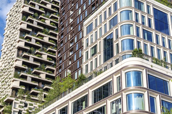 Residential tower Wonderwoods, 2 green buildings, in Utrecht in the new Healthy Urban Quarter, at the Central Station, 105 metres high with 30 floors, Tower II, rear, Tower I, front, 70 metres high, over 360 trees and over 9600 shrubs and flowering plants native to the region, all irrigated with collected rainwater, sponge city principle and monitored with sensors, Utrecht, Netherlands