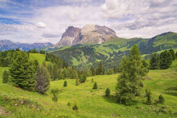 Impressive mountain landscape with green valleys and blue skies in the Dolomites, Alpe di Siusi, Dolomites, South Tyrol, Italy, Europe