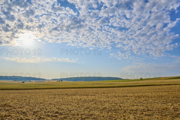 Wide fields under a blue cloudy sky, soft sunlight, summer, Höhefeld, Wertheim, Baden-Württemberg, Germany, Europe