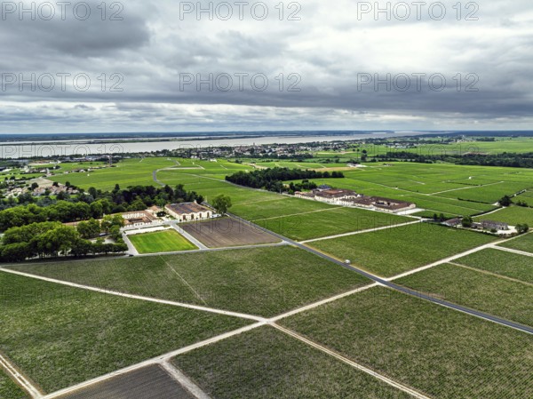 Chateau Pontet-Canet Vineyard and grape fields around Pauillac and Gironde Estuary from a drone, Bordeaux, Gironde, Nouvelle-Aquitaine, France, Europe