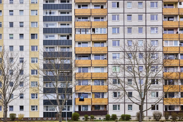 Residential building, high-rise buildings, facade, window, balcony, bare winter trees, diffuse light, Ebendorfer Chaussee, Magdeburg, state capital, independent city, Saxony-Anhalt, Germany, Europe