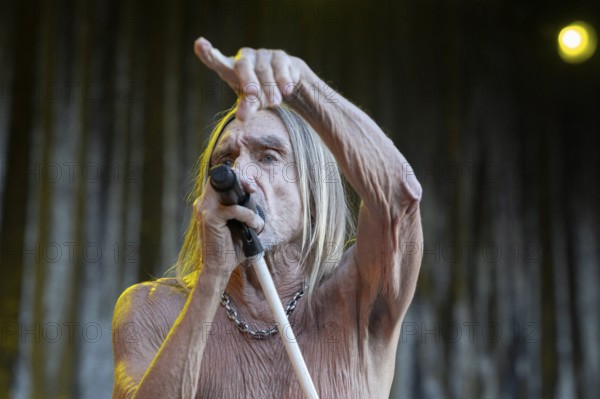 Iggy Pop, singer, actor, punk, rock, USA, live open air at the Citadel Music Festival, 19.06.2025, Zitadelle Spandau, Berlin, Germany < english> Iggy Pop, singer, actor, punk rock, USA, live open air at the Citadel Music Festival, June 19, 2025, Spandau Citadel, Berlin, Germany, Europe