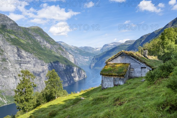 Blomberg Gård, historic mountain farm with grass roof on a steep mountainside above the Geirangerfjord, view of idyllic fjord landscape, near Geiranger, Møre og Romsdal, Norway, Europe