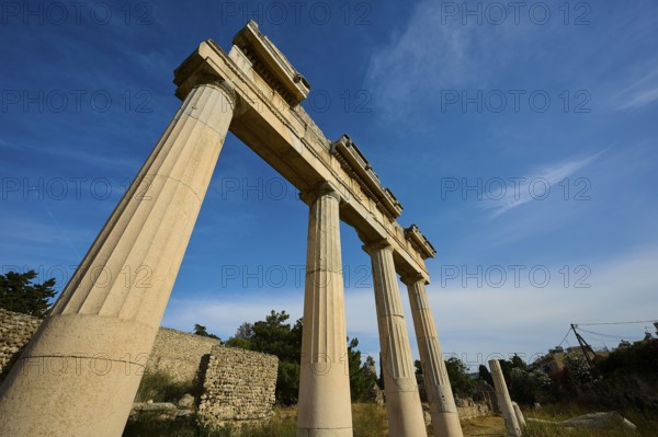 Ancient temple columns under a clear blue sky in a historical landscape, Archaeological site, Xysto Hall of Columns, Gymnasio, Western Excavation, Kos Town, Kos, Dodecanese, Greek Islands, Greece, Europe