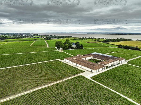 Chateau Latour Vineyard and grape fields around Pauillac from a drone, Bordeaux, Gironde, Nouvelle-Aquitaine, France, Europe