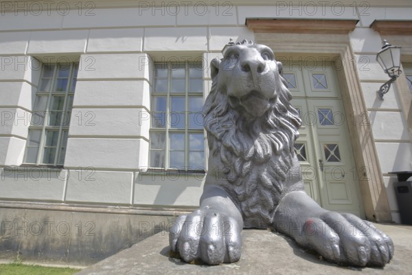 Head of lion figure with paws and entrance to historic lion building, front door, palace, modern art, sculpture, lion head, lion, oversize, university square, university, Halle an der Saale, Saxony-Anhalt, Germany, Europe