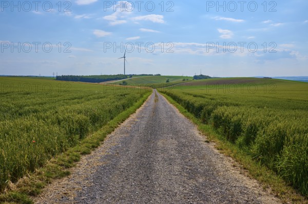 A gravel path leads through green fields with a wind turbine on the horizon under a blue sky, Marktheidenfeld, Bavaria, Germany, Europe