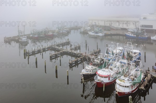 Commercial shrimp boats at the dock in the commercial area of the Biloxi Small Craft Harbor in Biloxi, Mississippi