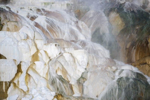 Mammoth Hot Springs... Yellowstone National Park, world-famous travertine terraces, limestone terraces, limestone deposits, UNESCO World Heritage Site, nature in Yellowstone NP, Wyoming, North America, United States of America