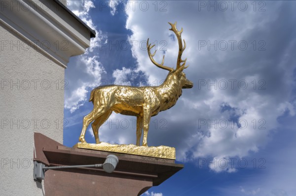 Stag statue from the Hotel Deer, Marktpl. 12, Ottobeuren, Unterallgäu Bavaria, Germany, Europe