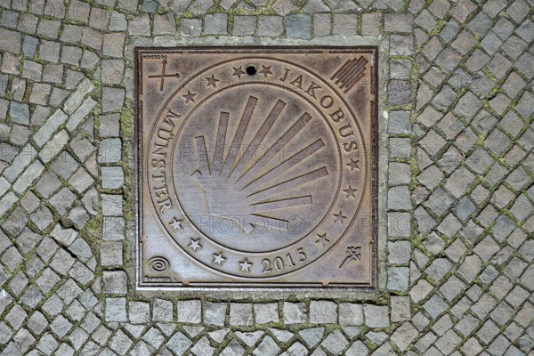 Manhole cover, St James' Way Münster 2015, pilgrims, scallop shell, cobblestones, Münster, Münsterland, independent city, North Rhine-Westphalia, Germany, Europe