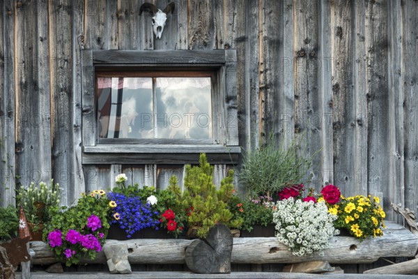 Flower decorations and windows at the Osterberg Alpe, between Tiefenbach and Riezlern, Oberallgäu, Allgäu, Bavaria, Germany, Europe