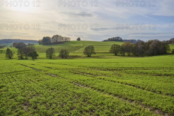 Wide green landscape with trees and hills under a cloudy sky, Winterkasten, Lindenfels, Bergstrasse district, Odenwald, Hesse, Germany, Europe