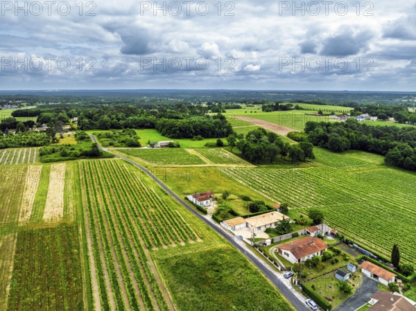 Vineyards and grape fields around Bordeaux from a drone, Saint-Mariens, Gironde, Nouvelle-Aquitaine, France, Europe