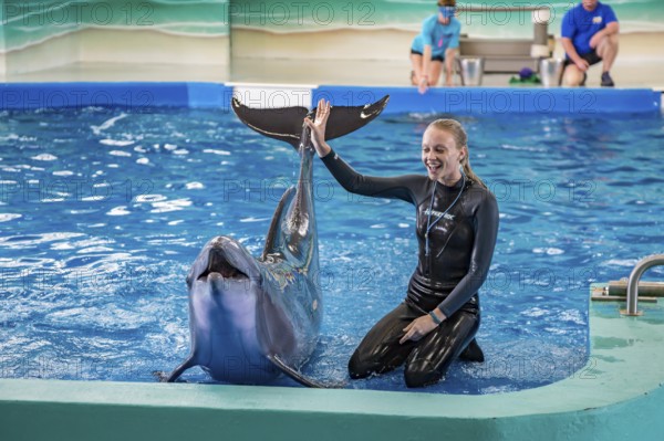 Trainers working with Dolphins during show at Ocean Adventures Marine Park in Gulfport, Mississippi