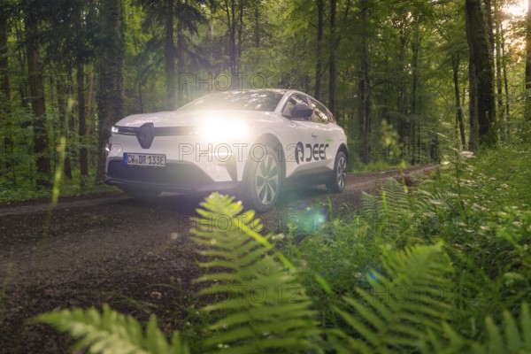 Renault on a forest path surrounded by dense vegetation and ferns, Deer E- CarSharing, Renault Megane electric car, Calw, Black Forest, Germany, Europe