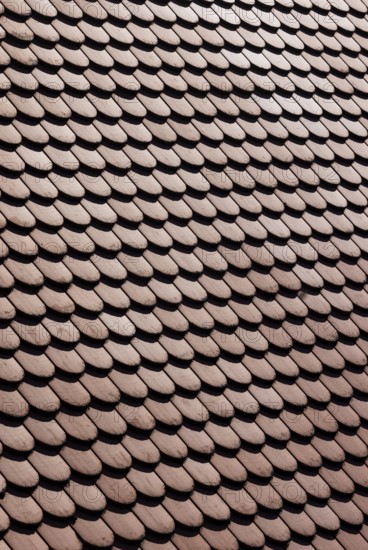 Red shingle roof, house roof, detail, Steyr, Upper Austria, Austria, Europe