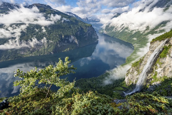 Gjerdefossen waterfall, at Ørnesvingen viewpoint, atmospheric clouds over the fjord in the morning light, at Geirangerfjord, near Geiranger, Møre og Romsdal, Norway, Europe