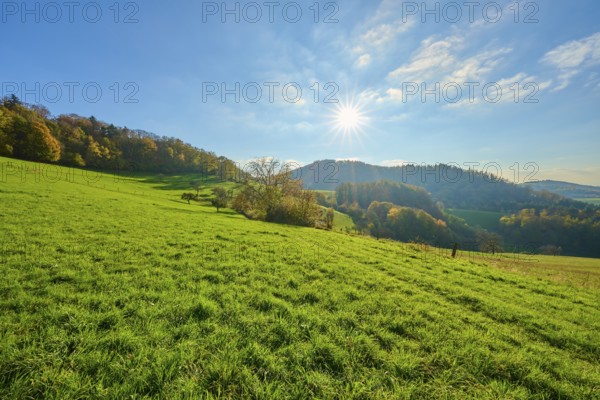 Sunny hills with autumnal vegetation under a bright sky, Vöckelsbach, Mörlenbach, Bergstrasse district, Odenwald, Hesse, Germany, Europe