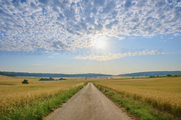 A country road leads through wide fields, the sky is cloudy and sunny, summer, Höhefeld, Wertheim, Baden-Württemberg, Germany, Europe