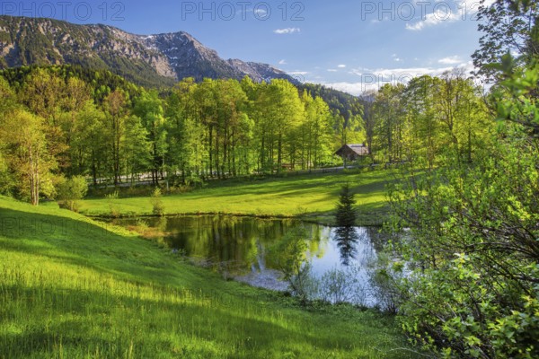 Small pond in the park of Linderhof Castle in spring, municipality of Ettal, Ammergau Alps, Ammertal, Upper Bavaria, Bavaria, Germany, Europe