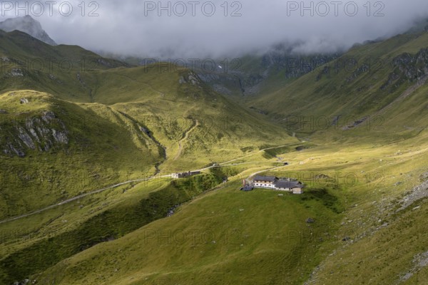 Alpine meadows with Martalm, Lazzacher Tal, Seven Lakes Hike, Stubai Alps, near Ridnaun, South Tyrol, Italy, Europe