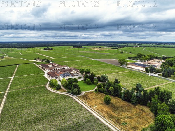 Chateau Pontet-Canet Vineyard and grape fields around Pauillac and Gironde Estuary from a drone, Bordeaux, Gironde, Nouvelle-Aquitaine, France, Europe