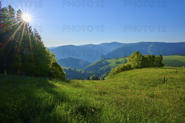 A picturesque view of mountains and a meadow under bright sunshine, spring, Schauinsland, Freiburg im Breisgau, Black Forest, Baden-Württemberg, Germany, Europe