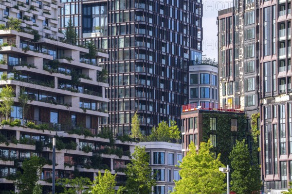 Residential tower Wonderwoods, 2 green buildings, in Utrecht in the new Healthy Urban Quarter, at the Central Station, 105 metres high with 30 floors, Tower II, rear, Tower I, front, 70 metres high, over 360 trees and over 9600 shrubs and flowering plants native to the region, all irrigated with collected rainwater, sponge city principle and monitored with sensors, Utrecht, Netherlands