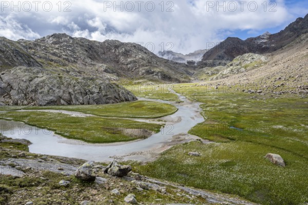 Mountain stream meanders through high mountain landscape on the Upper Senner Egete between meadows full of cotton grass, Seven Lakes Hike, Stubai Alps, near Ridnaun, South Tyrol, Italy, Europe