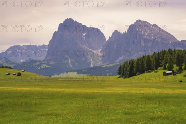 Wide valley with meadows, huts and surrounding mountains with cloudy sky, Alpe di Siusi, South Tyrol, Dolomites, Italy, Europe