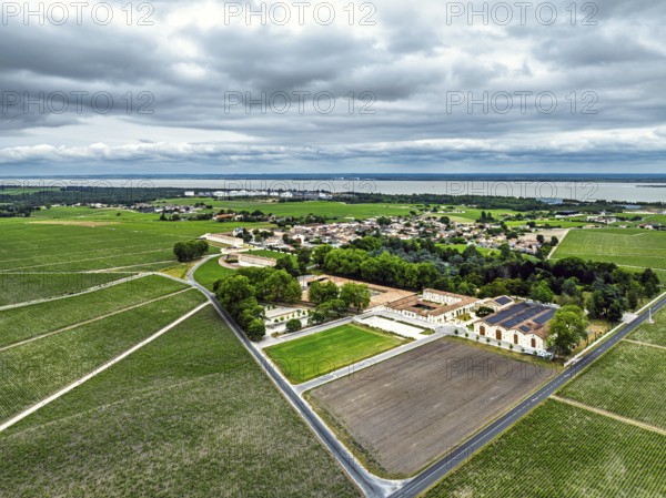 Chateau d'Armailhac Vineyard and grape fields around Pauillac and Gironde Estuary from a drone, Bordeaux, Gironde, Nouvelle-Aquitaine, France, Europe