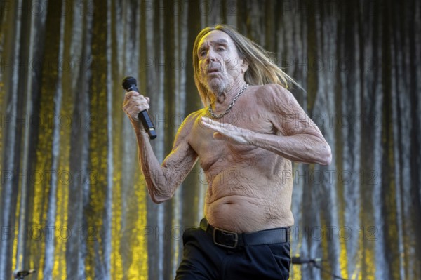 Iggy Pop, singer, actor, punk, rock, USA, live open air at the Citadel Music Festival, 19.06.2025, Zitadelle Spandau, Berlin, Germany < english> Iggy Pop, singer, actor, punk rock, USA, live open air at the Citadel Music Festival, June 19, 2025, Spandau Citadel, Berlin, Germany, Europe